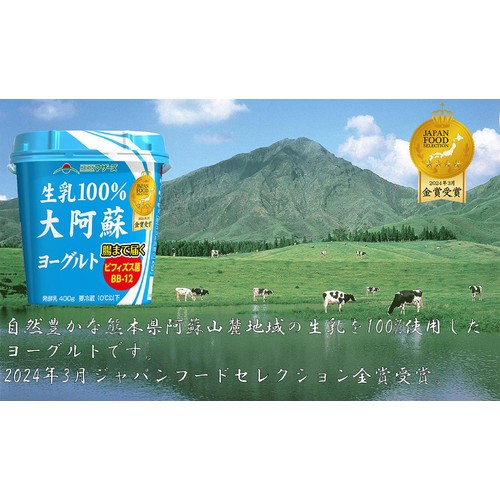 らくのうマザーズ 大阿蘇ヨーグルト 400g Green Beans | グリーン