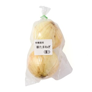 有機】国内産 新たまねぎ 450g(2-3個) Green Beans | グリーンビーンズ