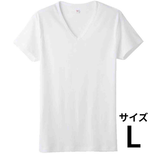 グンゼ YG 紳士 ピュアコットンVネックTシャツ L ホワイト