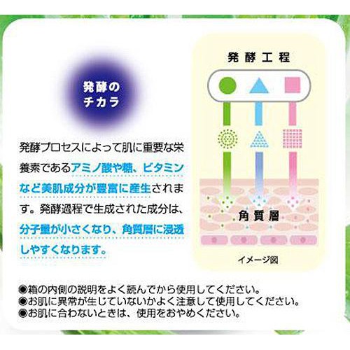 アロインス アロエメイド 発酵ジェル AY  100g