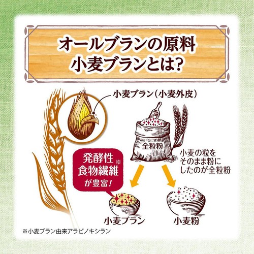 日本ケロッグ オールブランブランフレーク 270g