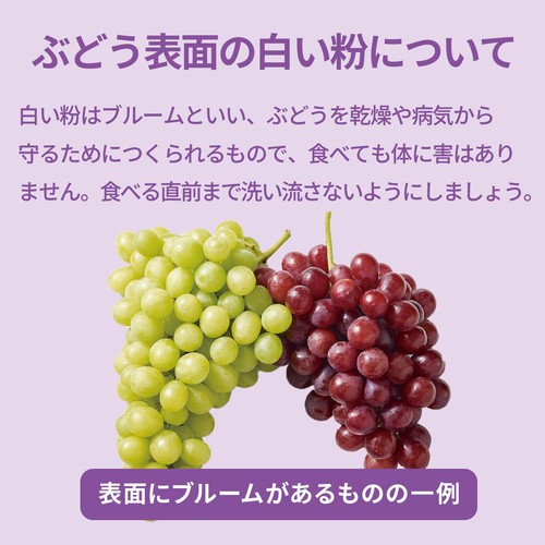 アメリカ産 まるごとグレープ(グリーン) 250g