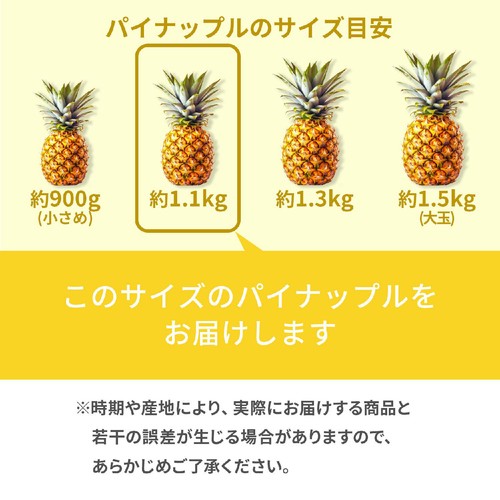 フィリピン産 ハニーグローパイナップル 1.1kg 1個