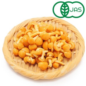 有機】新潟県産 割野きのこ組合 なめこ 80g 1パック Green Beans