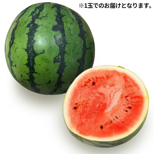 千葉県産 すいか 4.5kg 1玉