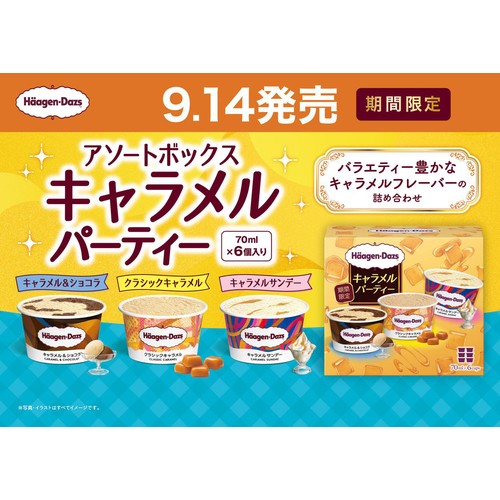 ハーゲンダッツ アソートボックス キャラメルパーティー 70ml x 6個入