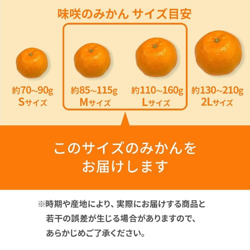 熊本県産 味咲のみかん(金峰・青島) L-Mサイズ 1箱 3kg Green Beans