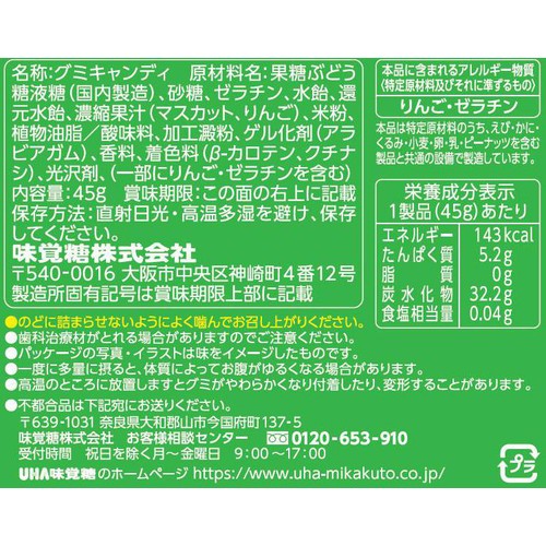 UHA味覚糖 忍者めし鋼 金剛石 マスカット 45g