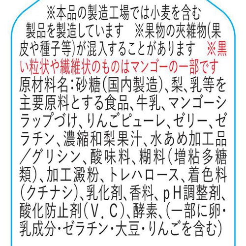ドンレミー ごちそう果実 梨とフルーツ 1個