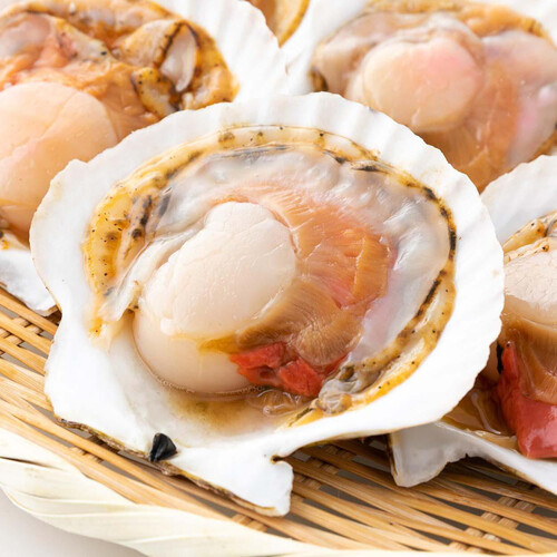 冷凍】宮城県産 ホタテ貝片貝 8枚 Green Beans | グリーンビーンズ by AEON