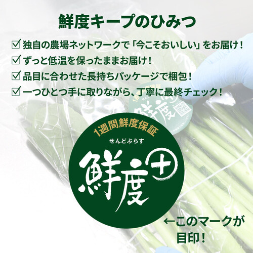 ［鮮度+］埼玉県産 小松菜 200g 1袋