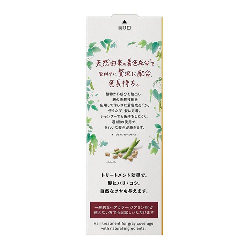 花王 ブローネリライズ ナチュリラ 色長持ちカラートリートメント ローズブラウン 本体 155g