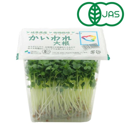 サラダコスモ 有機かいわれ大根 1パック Green Beans | グリーン