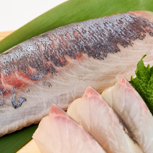 ［鮮度+］【冷蔵】愛媛県産 養殖活〆しまあじ刺身用(背) 1冊120g