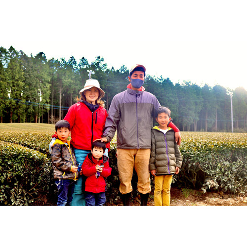 水宗園本舗 有機栽培抹茶入緑茶ティーバッグ 30袋(90g) Green Beans