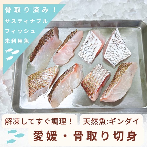 【冷凍】Umiのアトリエ 未利用魚 サスティナブルフィッシュ 愛媛県産ギンダイの切り身  骨取済み 100g