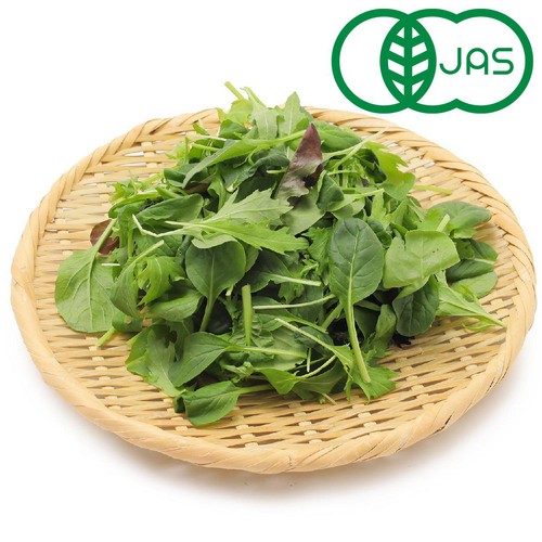 【有機】茨城県産 HATAKEカンパニー ベビーリーフ 70g 1パック