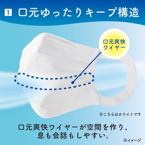 大王製紙 エリエール マスクムレ爽快 ふつう 30枚入