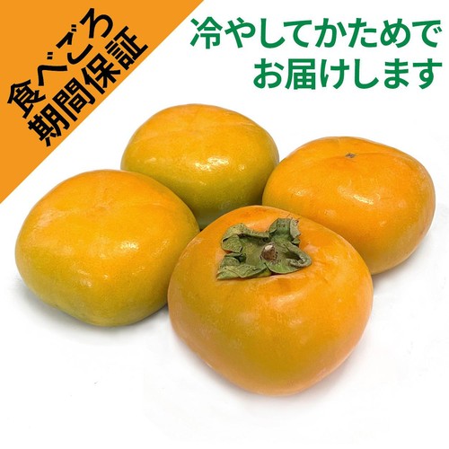 [食べごろ+] 和歌山県 果肉しっかりたねなし柿(かため) 4個