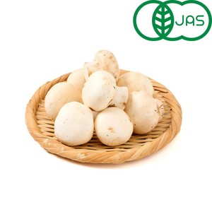 有機】山形県産 マッシュルーム(ホワイト) 150g 1パック Green Beans