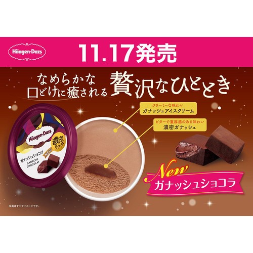 ハーゲンダッツ ミニカップ ガナッシュショコラ 110ml