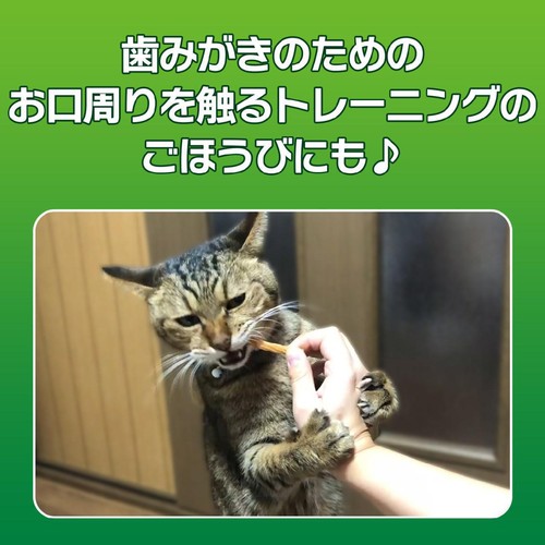 【ペット用】 ライオンペット PETKISS ネコちゃんの歯みがきおやつ まぐろ味 スティック 14g