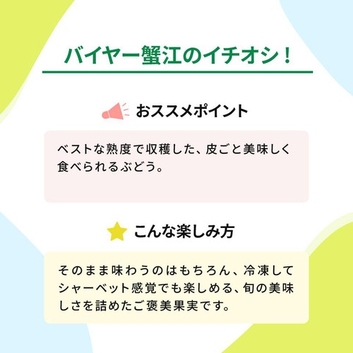 [食べごろ+] 山梨県笛吹市産 小倉さんたちのぶどう(シャインマスカット) 450g