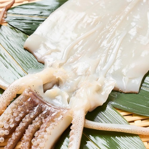 冷凍】 いか一夜干し開き 1枚(180g) Green Beans | グリーンビーンズ