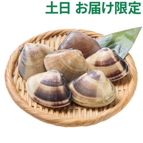 冷蔵】 九十九里浜産活はまぐり 6粒(400g) Green Beans | グリーン