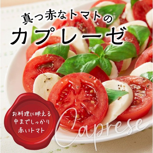国内産 カゴメ 高リコピントマト 250g(3-5個)