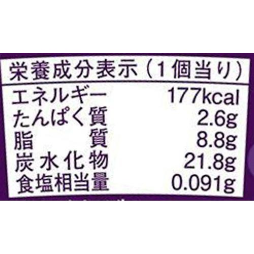 ロッテ レディーボーデン ミニカップ ラムレーズン 120ml