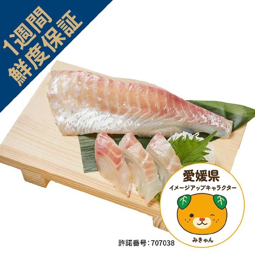 ［鮮度+］【冷蔵】愛媛県産 養殖活〆真鯛刺身用(腹) 1冊 80g