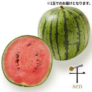 ２・千葉県・みそ・ピノガール 千葉県千葉市産 平山甘熟タネごと食べられるすいかピノ・ガール