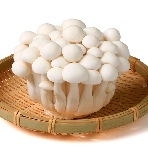 長野県産 ホクト ブナピー 100g 1袋