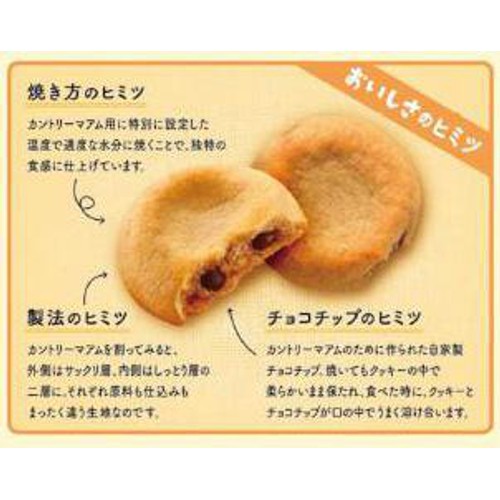 不二家 カントリーマアム バニラ&ココア 18枚入 Green Beans