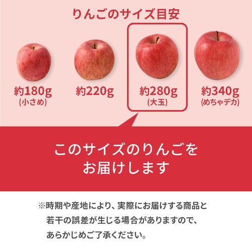 国内産 りんご(サンつがる) 大玉 2個