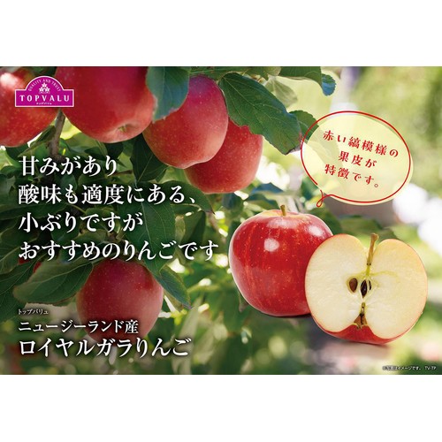 ニュージーランド産 ロイヤルガラりんご 8個 1kg トップバリュ Green