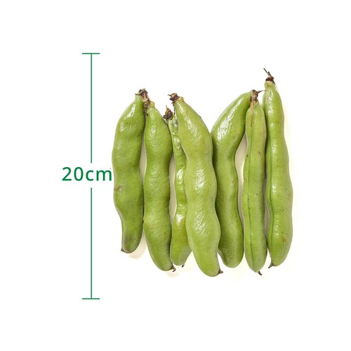 千葉県産 そらまめ 750g Green Beans | グリーンビーンズ by AEON