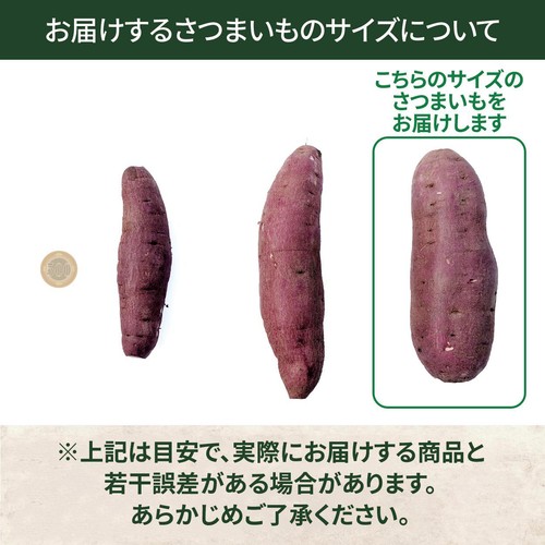 有機】千葉県産 さつまいも(べにはるか) 1kg(2-3本) Green Beans