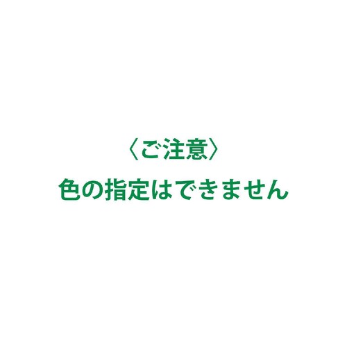 小林製薬 生葉 極幅ブラシ レギュラー ふつう 1本