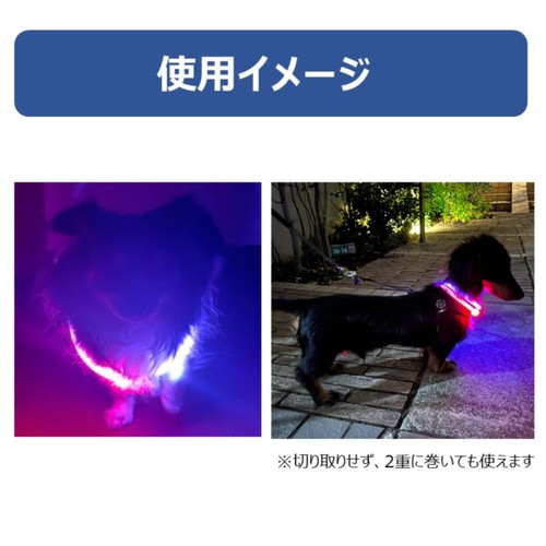 【ペット用】 アース・ペット ゴーゴーナイト ライトリング ペット用お散歩ライト 1個