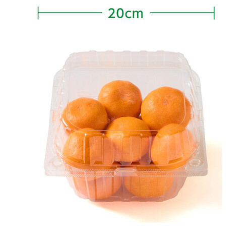 和歌山県産 ギュッと濃厚 吉田農園の有田三代みかん 10-12個 L-Mサイズ