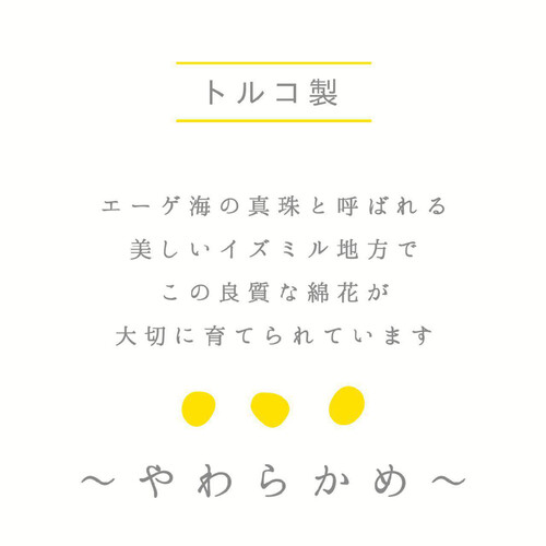 林 エーゲ海産コットン ベイカラー フェイスタオル ブルー 約34 x 80cm