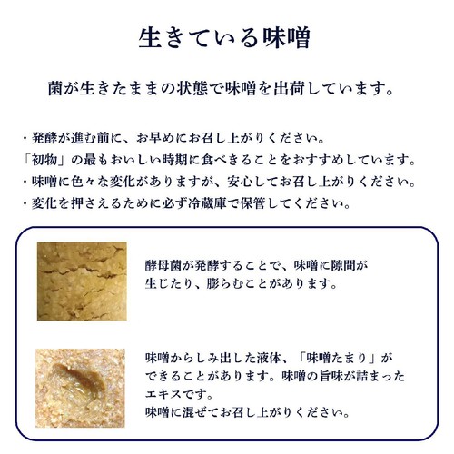 ひかり味噌 【冷蔵お届け】味噌ヌーボー初熟 400g