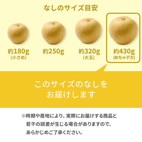 栃木県産 にっこり梨 めちゃデカ玉 860g 2個