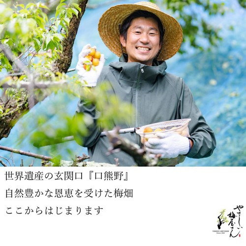 深見梅店 有機梅干 すっぱい梅 100g