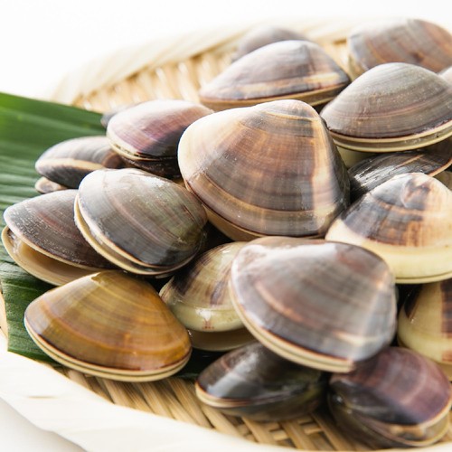 冷凍】千葉県産 殻付きはまぐり 500g Green Beans | グリーンビーンズ