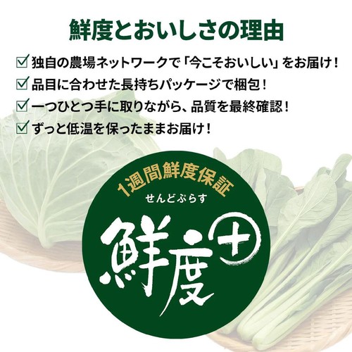 [鮮度+]【有機】北海道産 にんじん(アロマレッド) (転換期間中) 400g(2-4本)