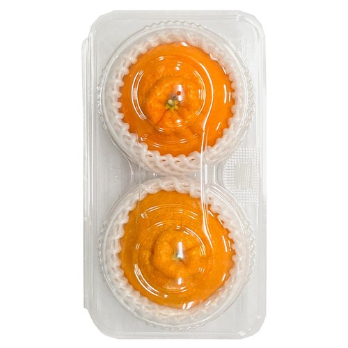 熊本県産 デコポン(しらぬい) 2個 450g