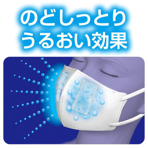 白元アース 快適ガード のど潤い ぬれマスク レギュラーサイズ 15セット